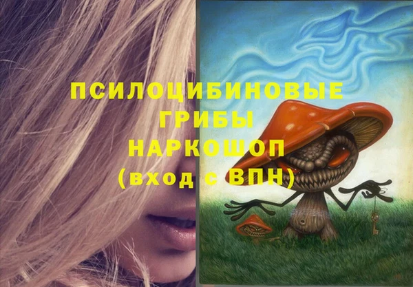 молекула духа Нязепетровск