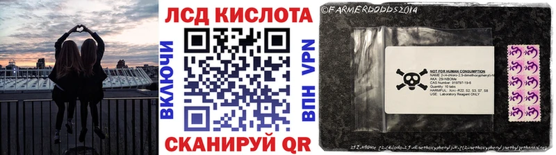 это как зайти  Щучье  Марки NBOMe 1,8мг  где найти   KRAKEN ссылка 